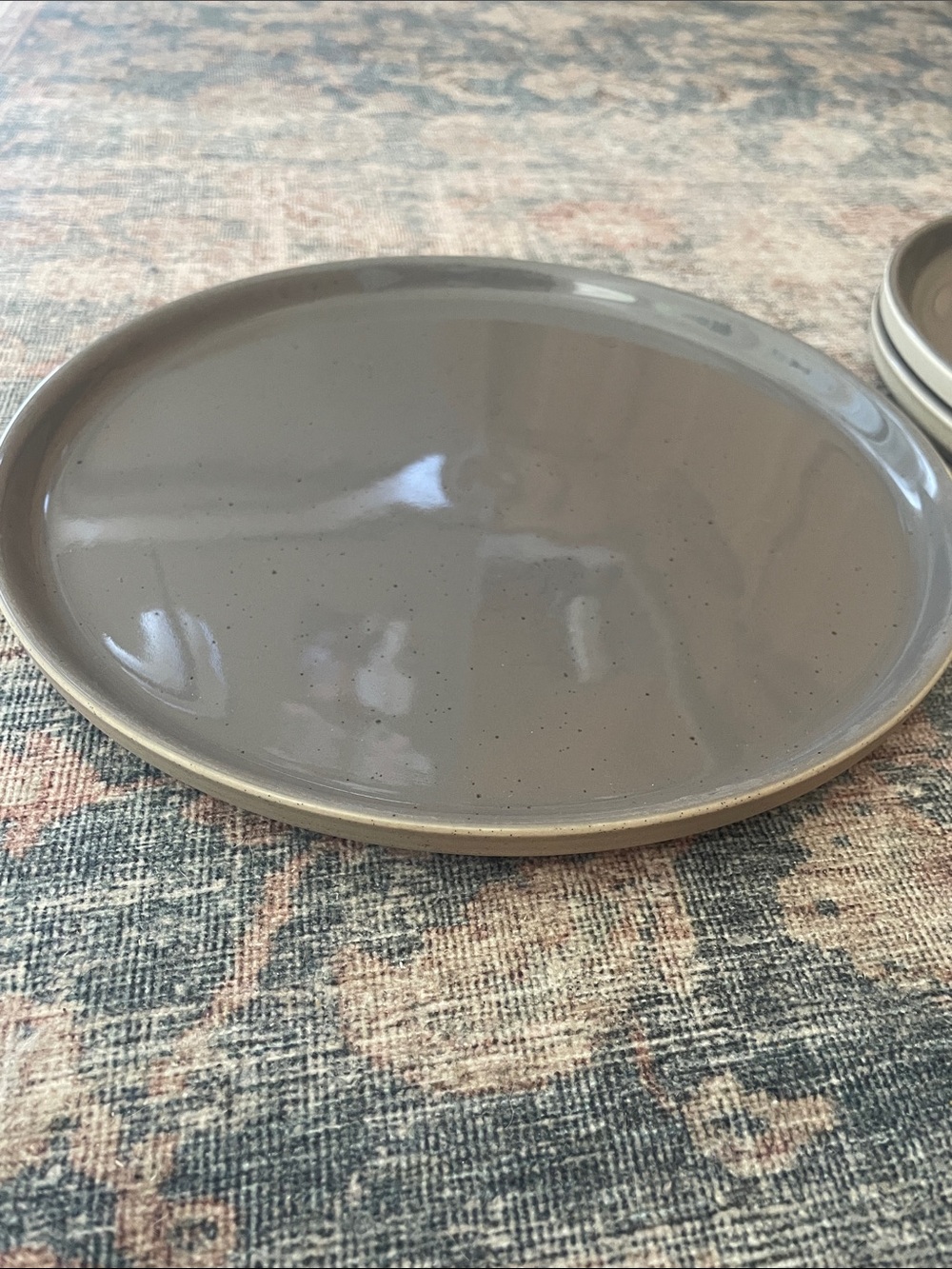 Our Place Ceramic Dinner Plates in Taupe